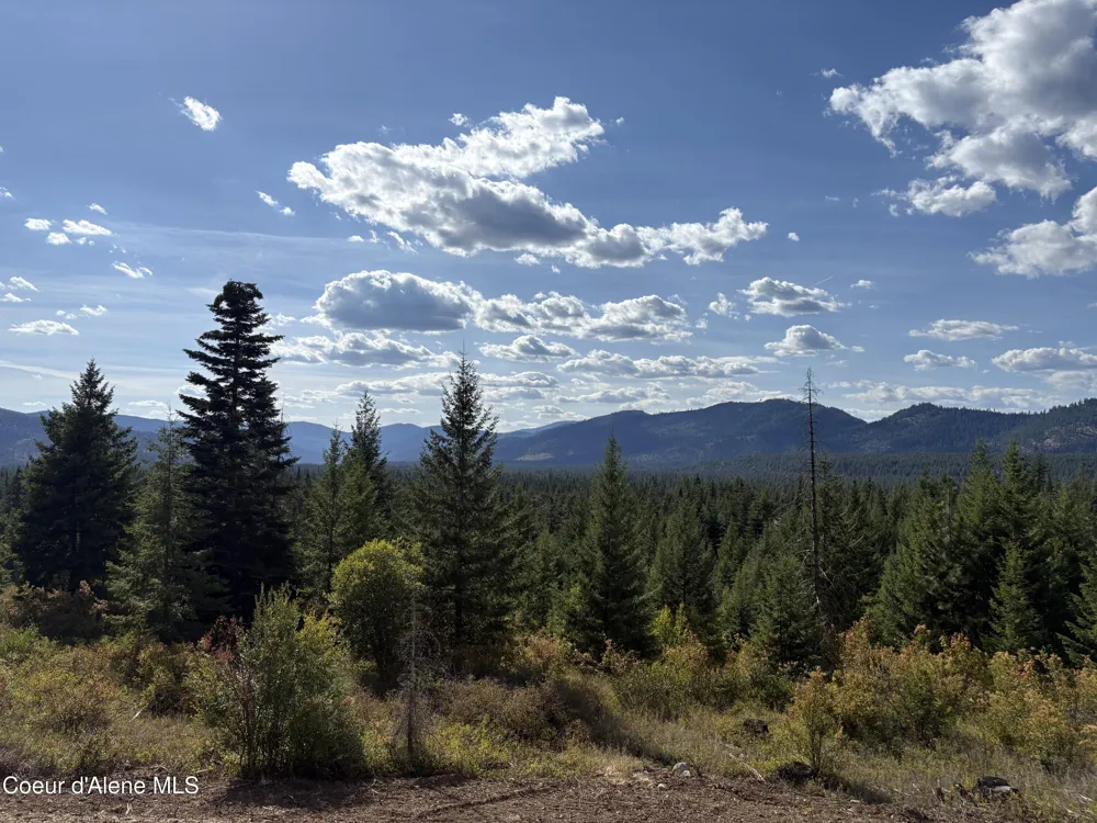 L5 Gemini Lane Rathdrum, ID 83858