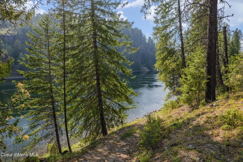 NKA Condor Dr Clark Fork, ID 83811