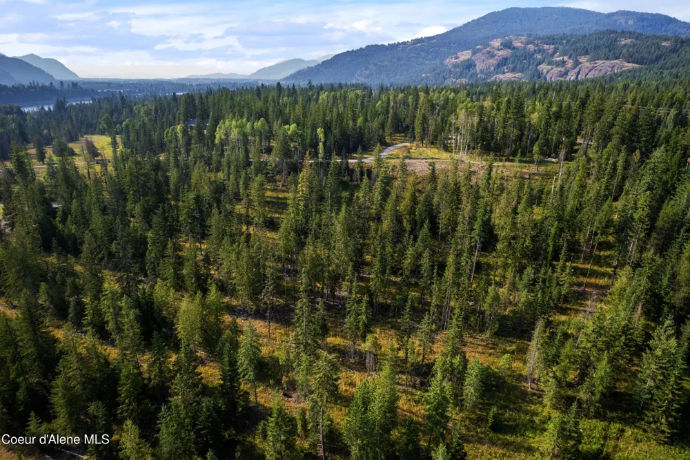 NKA Condor Dr Clark Fork, ID 83811