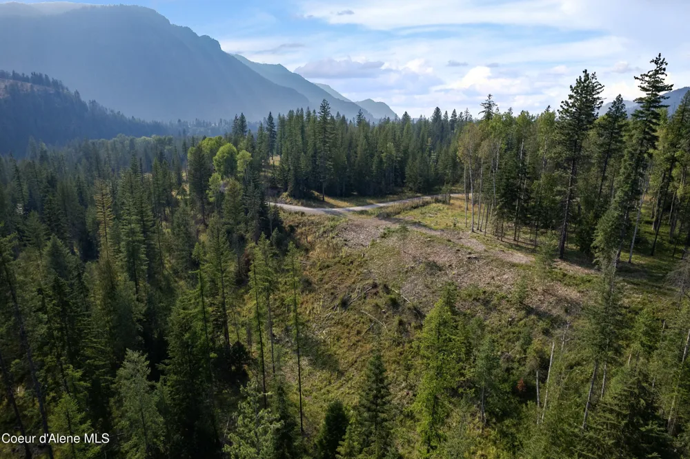 NKA Condor Dr Clark Fork, ID 83811