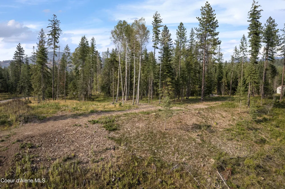 NKA Condor Dr Clark Fork, ID 83811