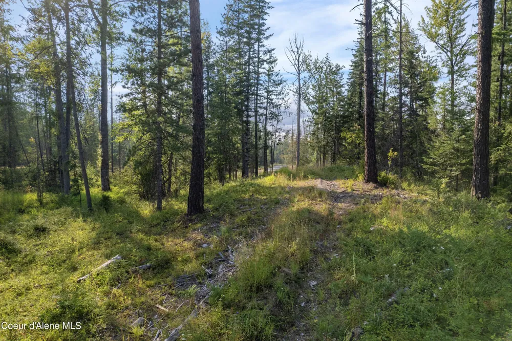 NKA Condor Dr Clark Fork, ID 83811