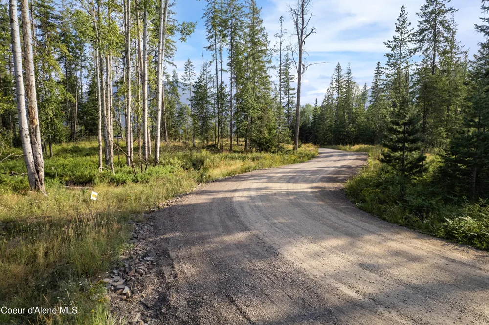 NKA Condor Dr Clark Fork, ID 83811