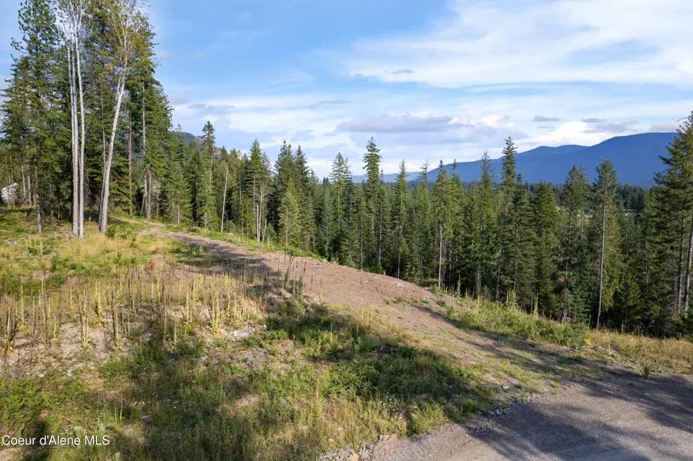 NKA Condor Dr Clark Fork, ID 83811