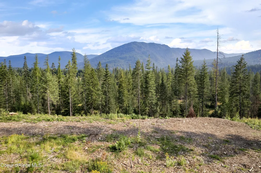 NKA Condor Dr Clark Fork, ID 83811