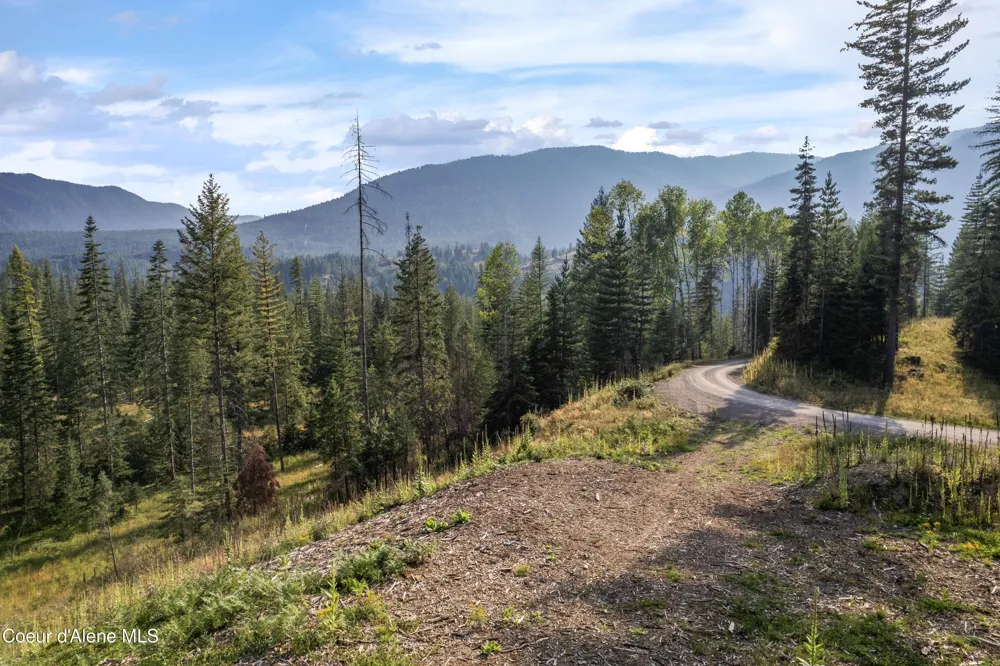 NKA Condor Dr Clark Fork, ID 83811