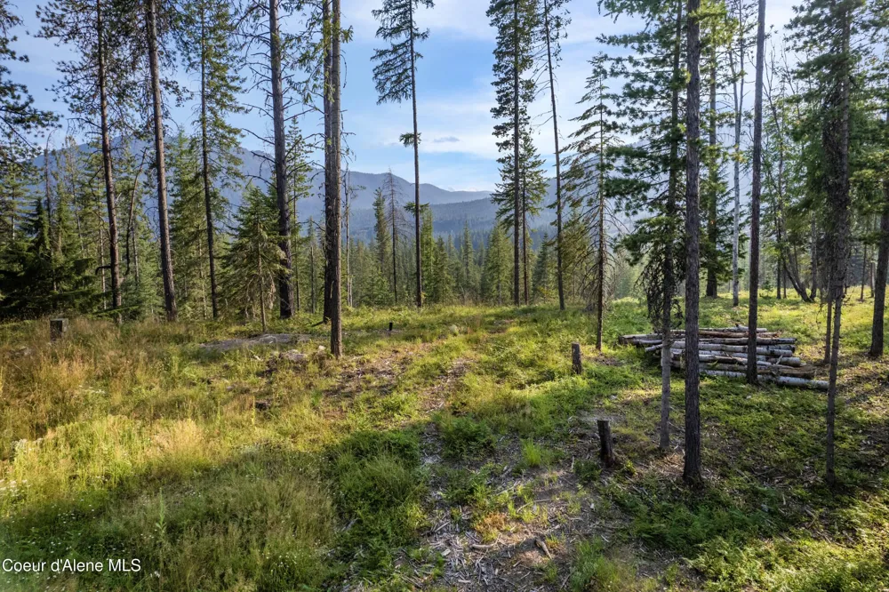 NKA Condor Dr Clark Fork, ID 83811