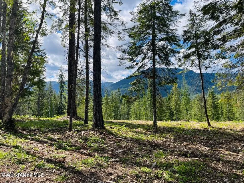 NKA Condor Dr Clark Fork, ID 83811