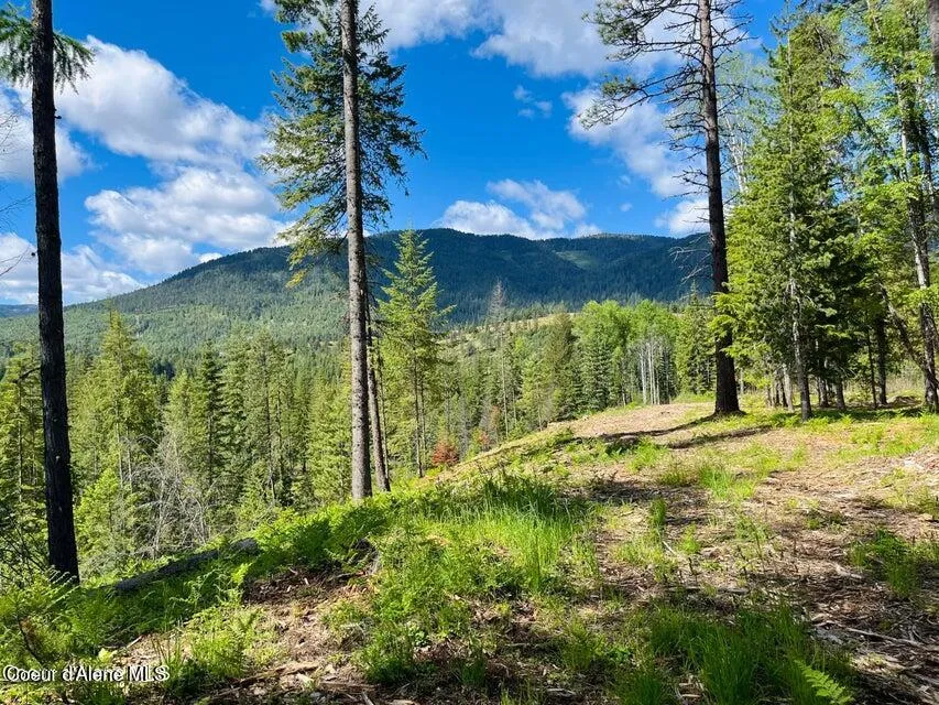 NKA Condor Dr Clark Fork, ID 83811