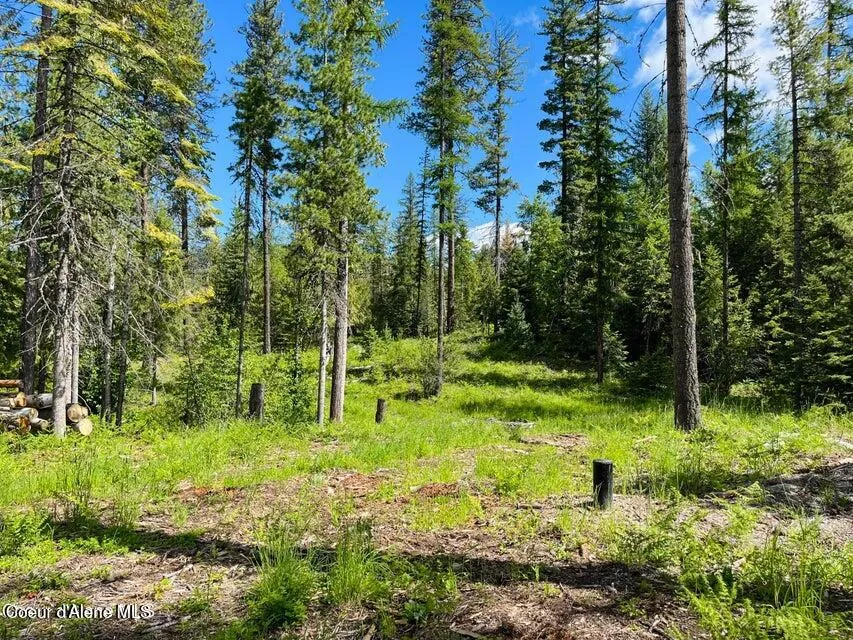 NKA Condor Dr Clark Fork, ID 83811