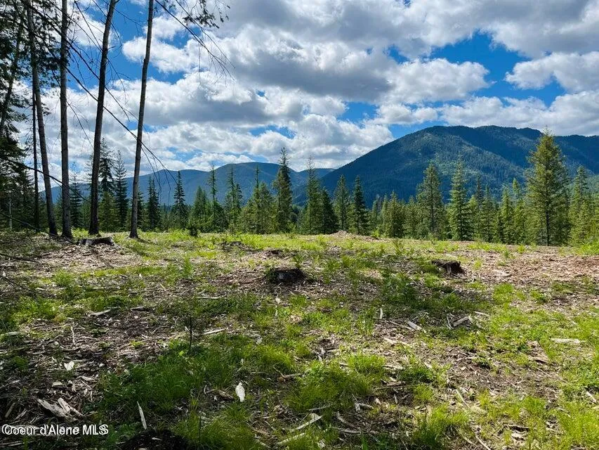 NKA Condor Dr Clark Fork, ID 83811
