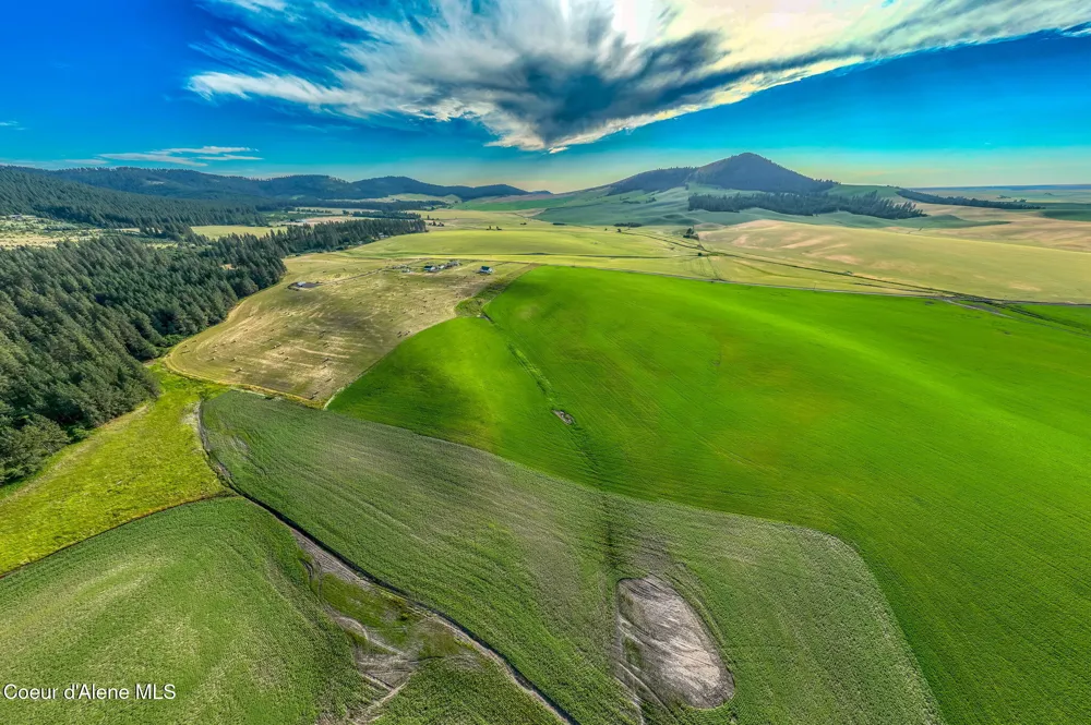 783 Lot D Old Mills Road Desmet, ID 83824