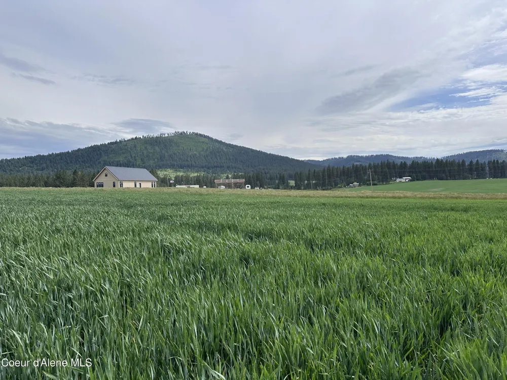 783 Lot D Old Mills Road Desmet, ID 83824