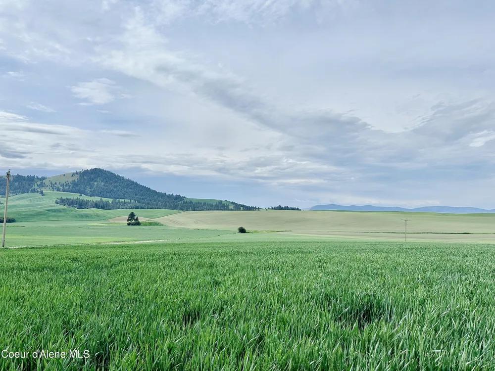 783 Lot D Old Mills Road Desmet, ID 83824