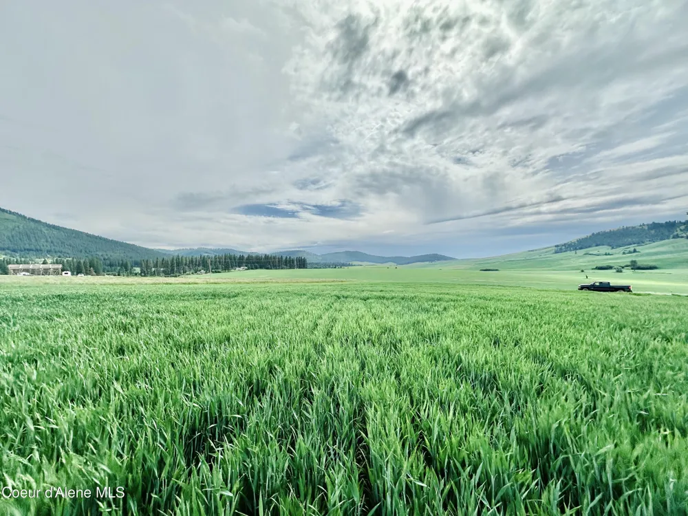 783 Lot D Old Mills Road Desmet, ID 83824