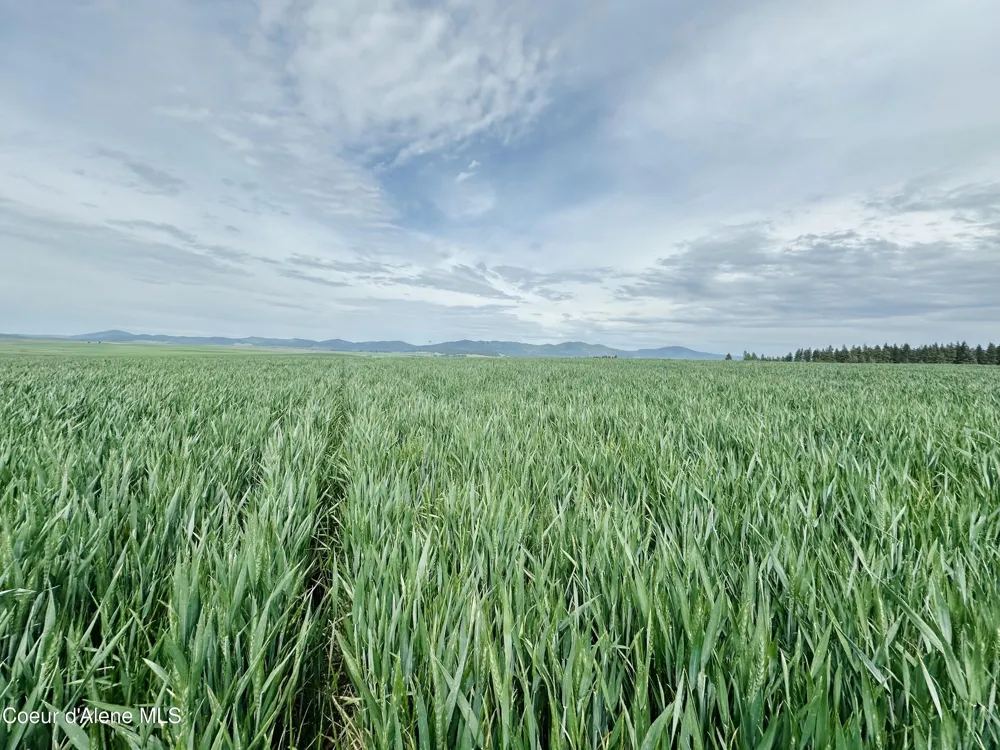 783 Lot D Old Mills Road Desmet, ID 83824