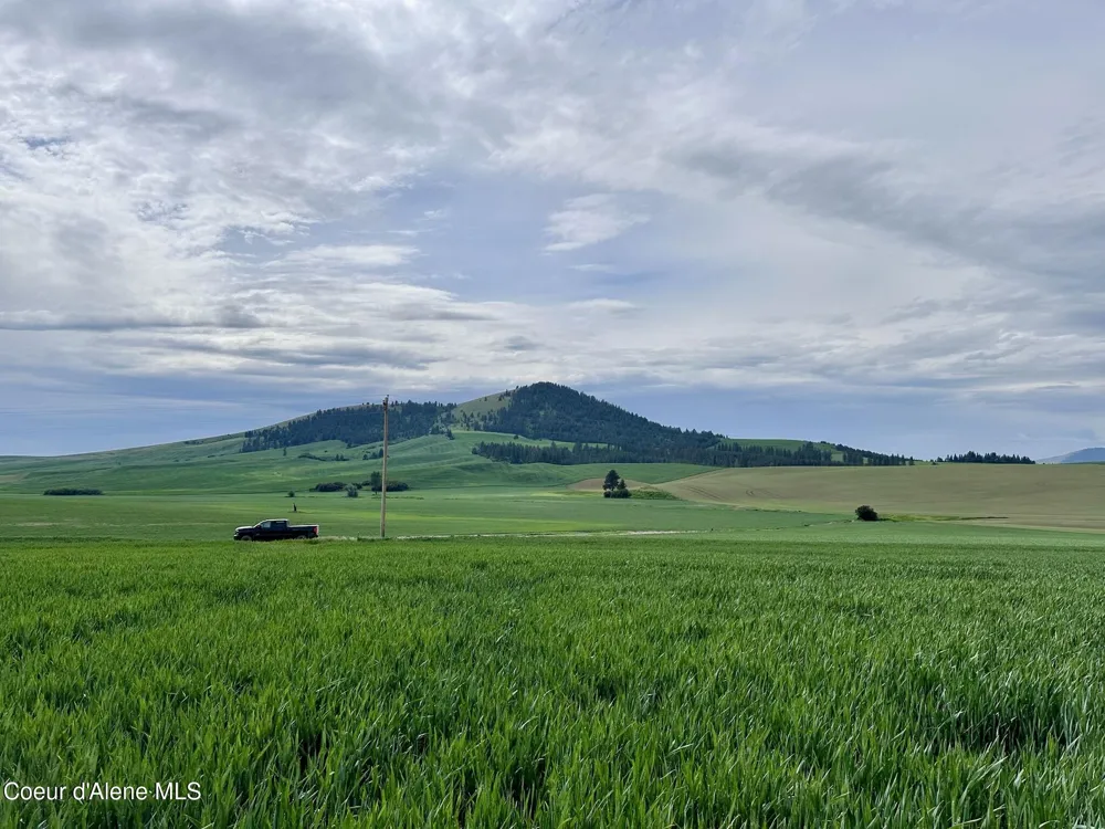 783 Lot D Old Mills Road Desmet, ID 83824
