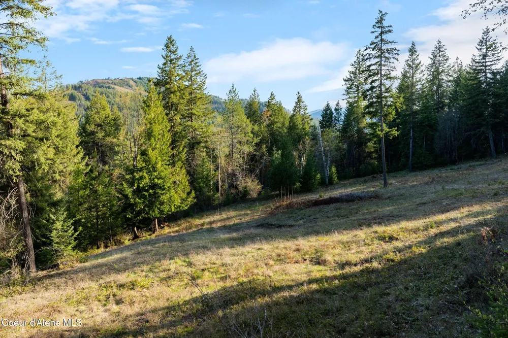 Lot A Spring View Ln Sagle, ID 83860