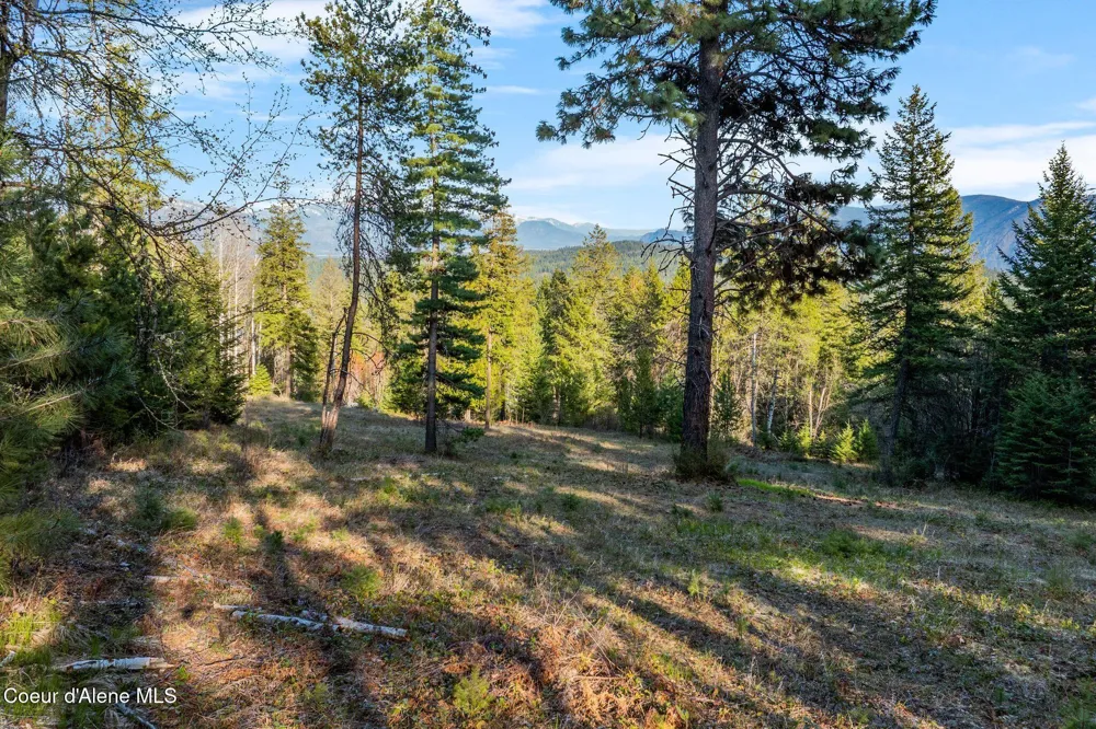 Lot A Spring View Ln Sagle, ID 83860