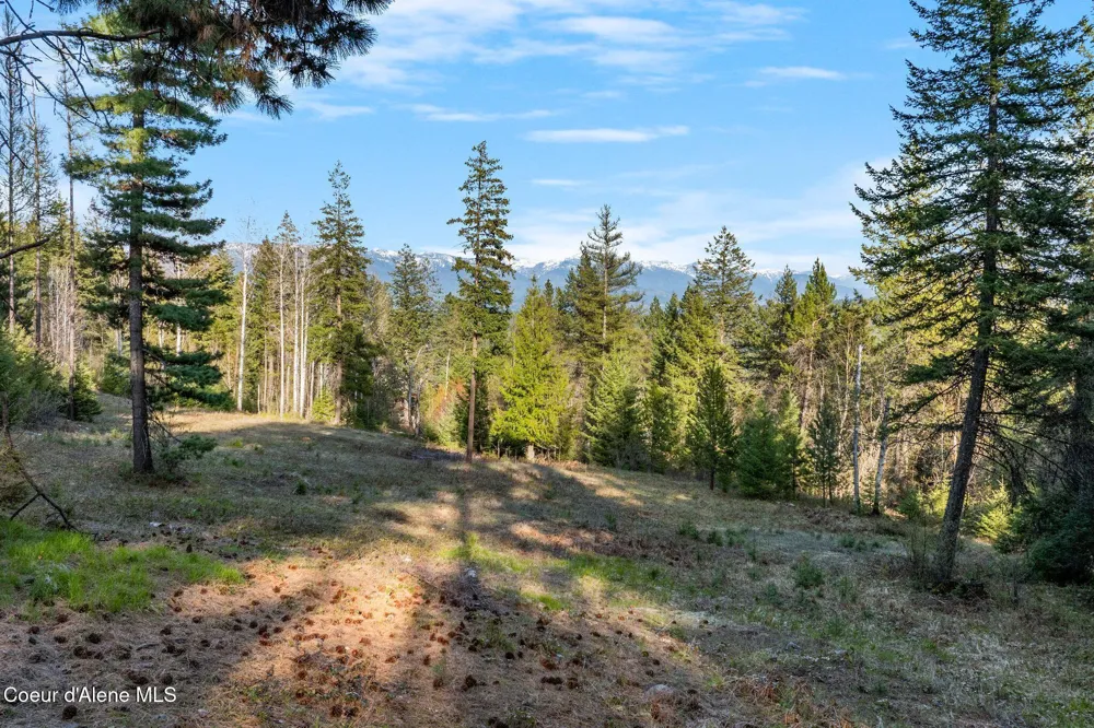 Lot A Spring View Ln Sagle, ID 83860