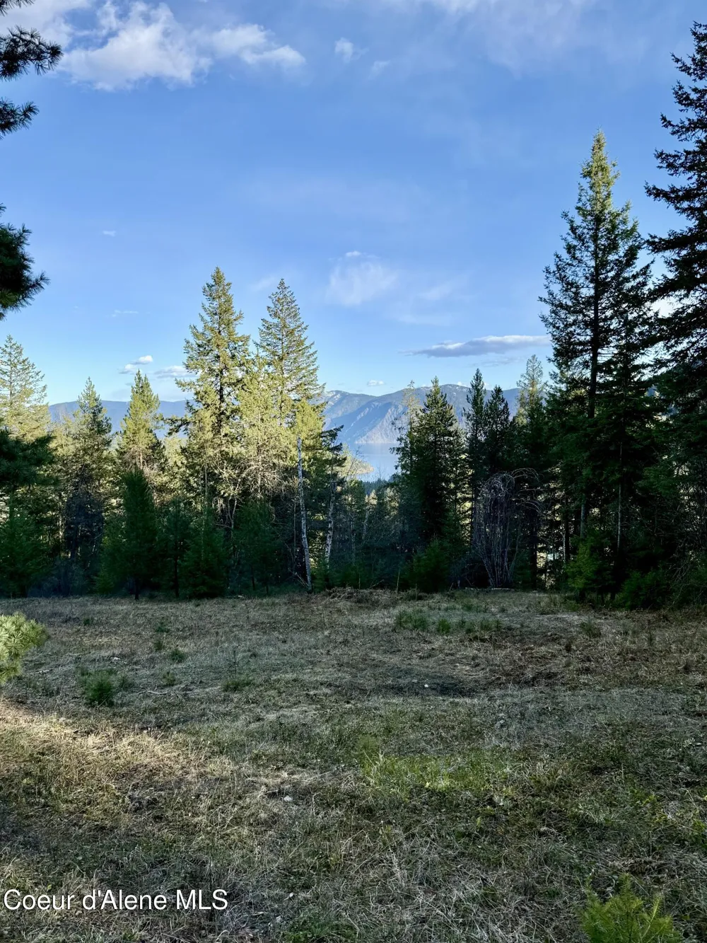 Lot A Spring View Ln Sagle, ID 83860