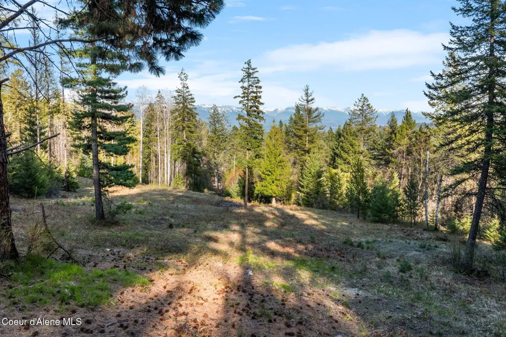 Lot B Spring View Ln Sagle, ID 83860