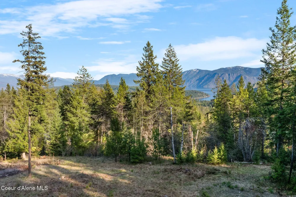 Lot B Spring View Ln Sagle, ID 83860