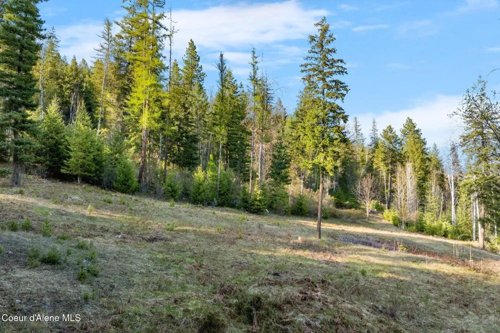 Lot B Spring View Ln Sagle, ID 83860