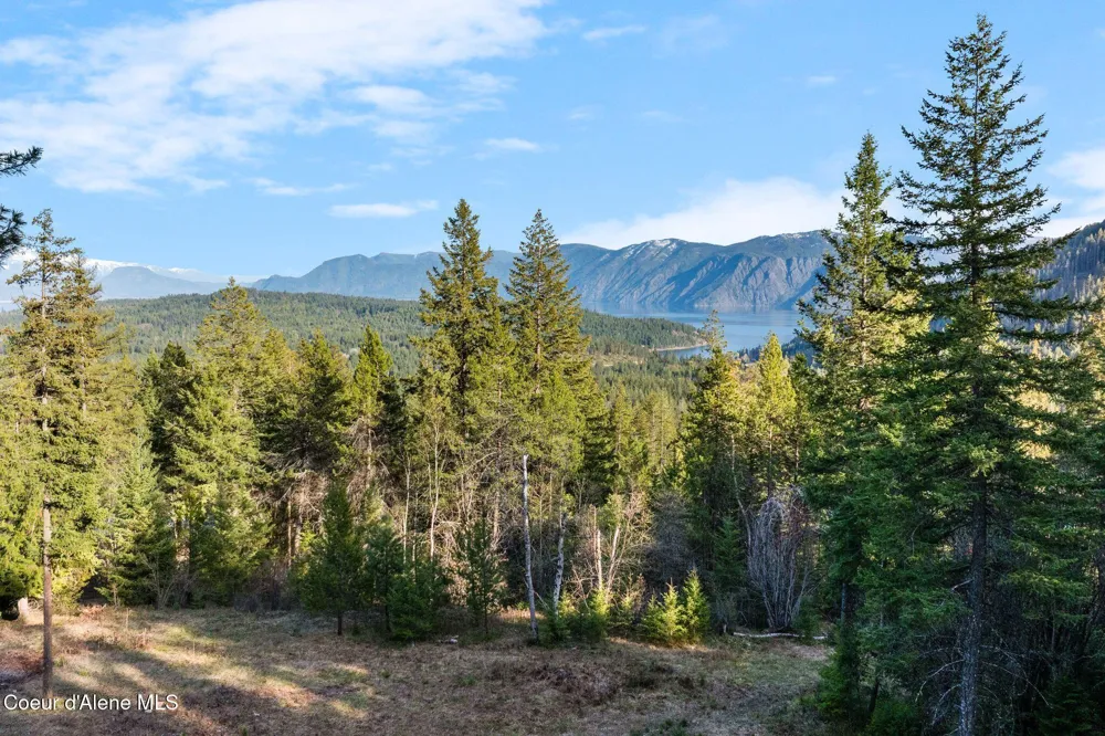 Lot B Spring View Ln Sagle, ID 83860