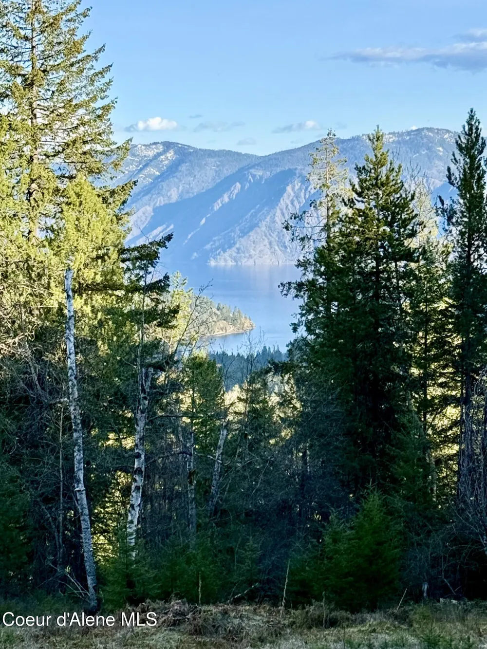 Lot B Spring View Ln Sagle, ID 83860