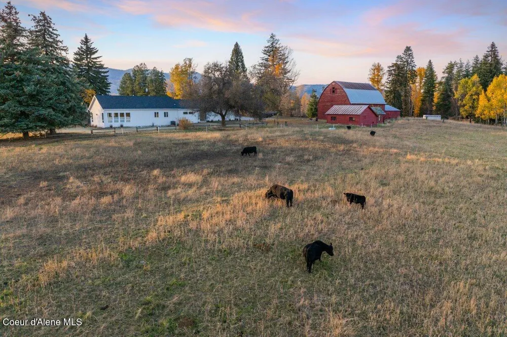 2685 Selle Road Sandpoint, ID 83864