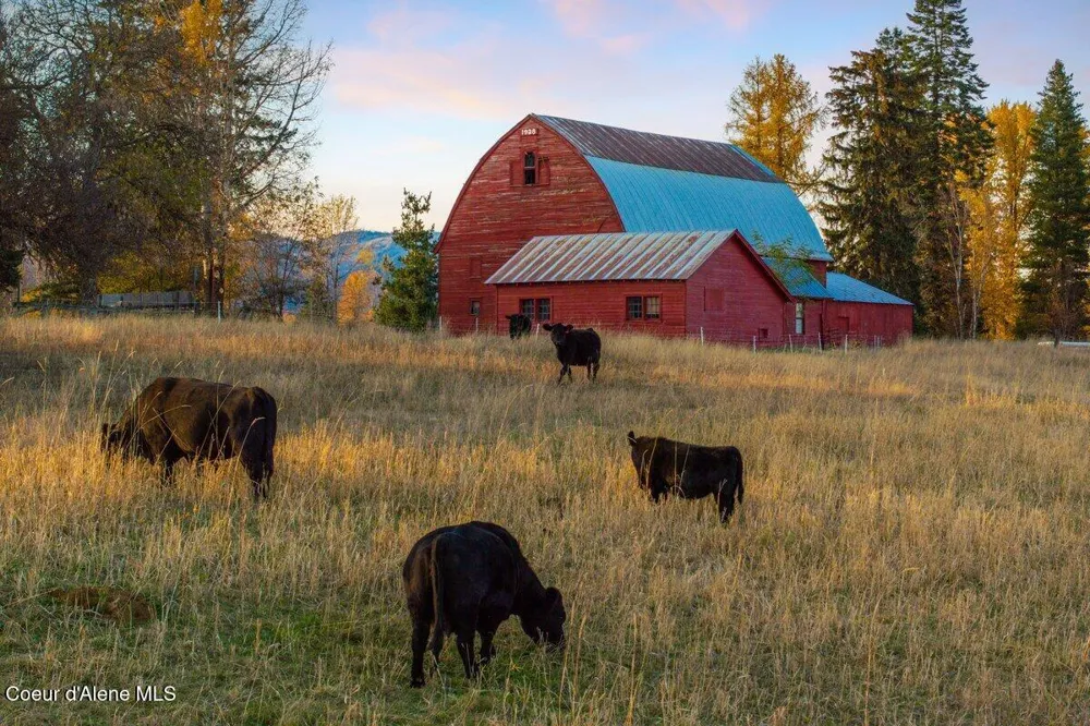 2685 Selle Road Sandpoint, ID 83864