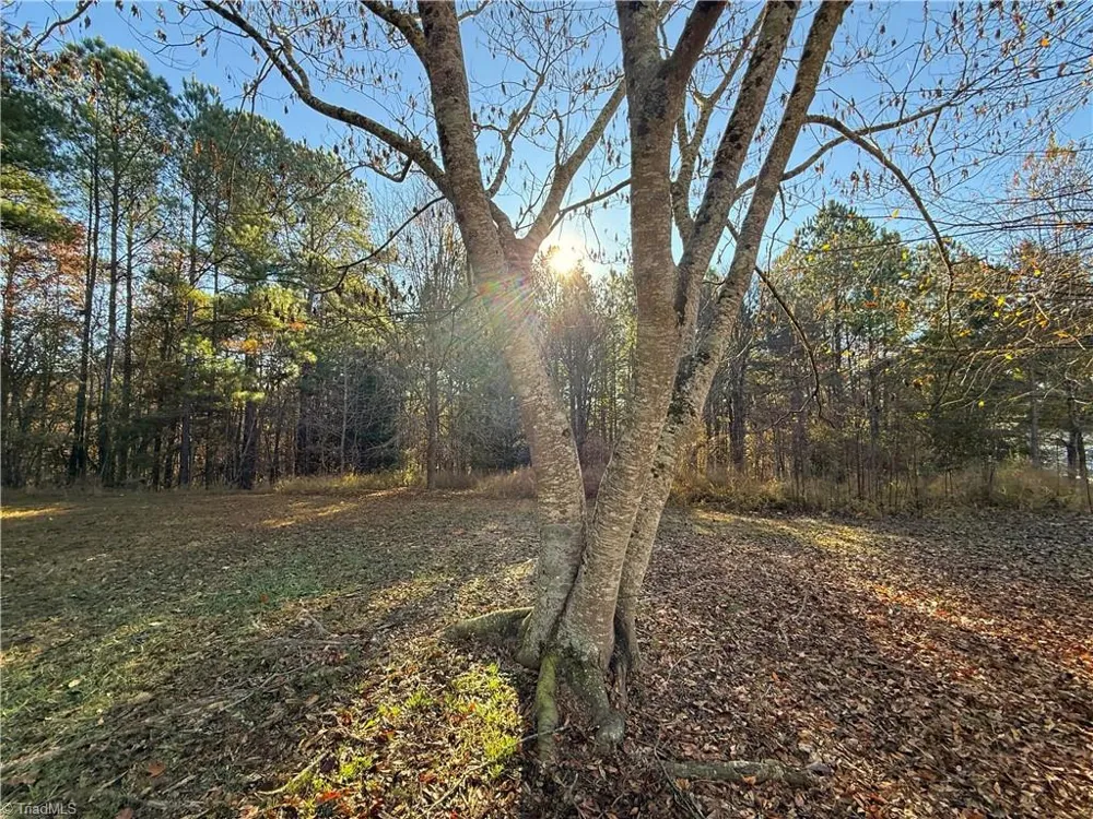 277 Riverhills Trail Rockingham, NC 28379