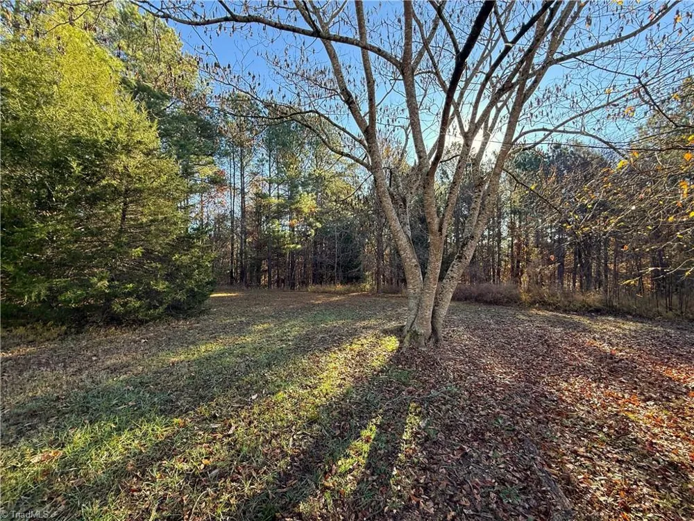 277 Riverhills Trail Rockingham, NC 28379