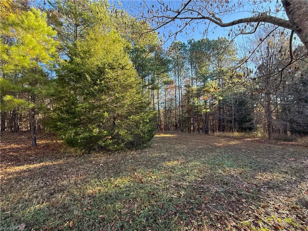 277 Riverhills Trail Rockingham, NC 28379