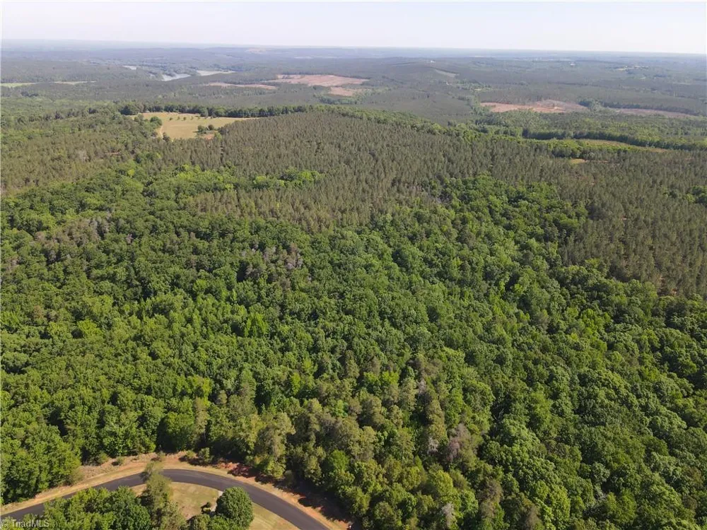 176 Lake View Pass Rockingham, NC 28379