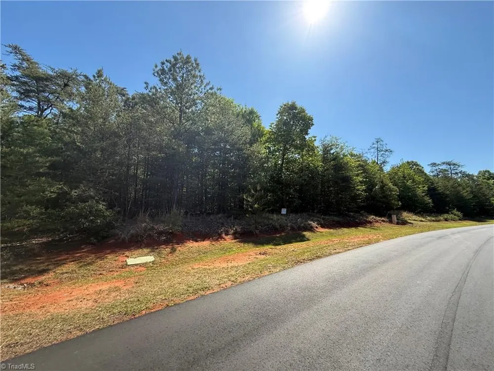 176 Lake View Pass Rockingham, NC 28379