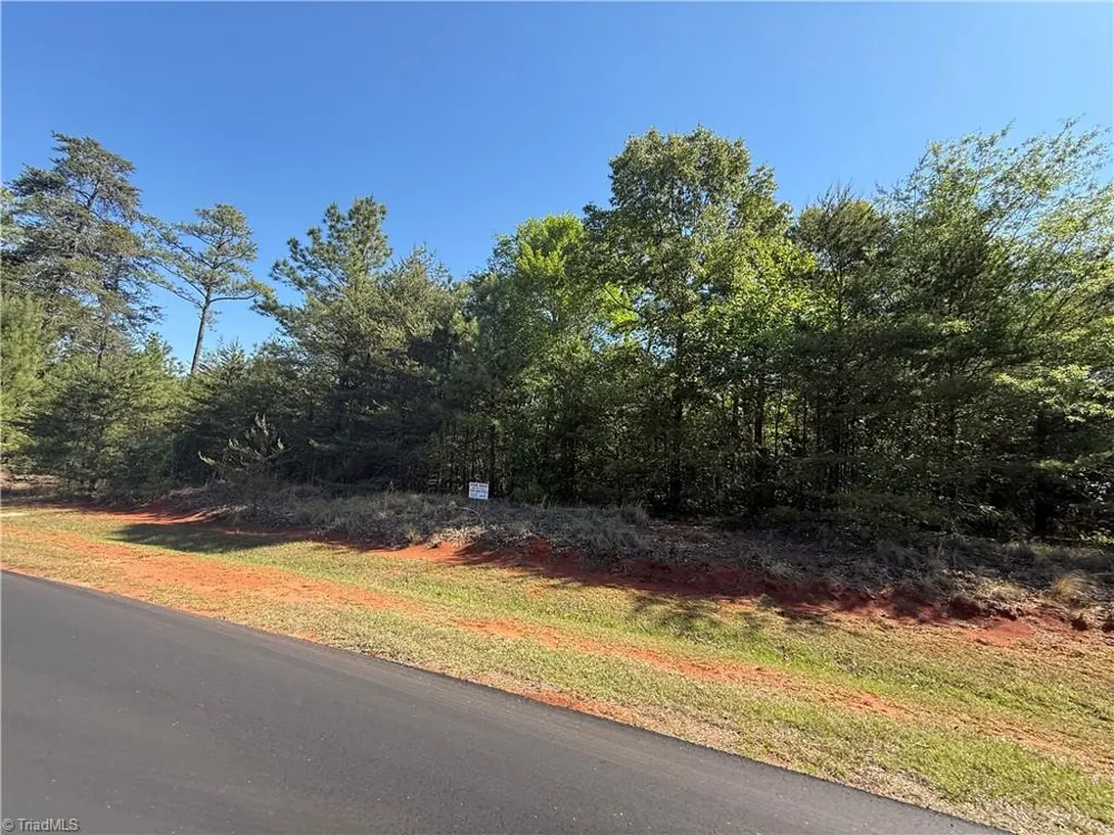 176 Lake View Pass Rockingham, NC 28379