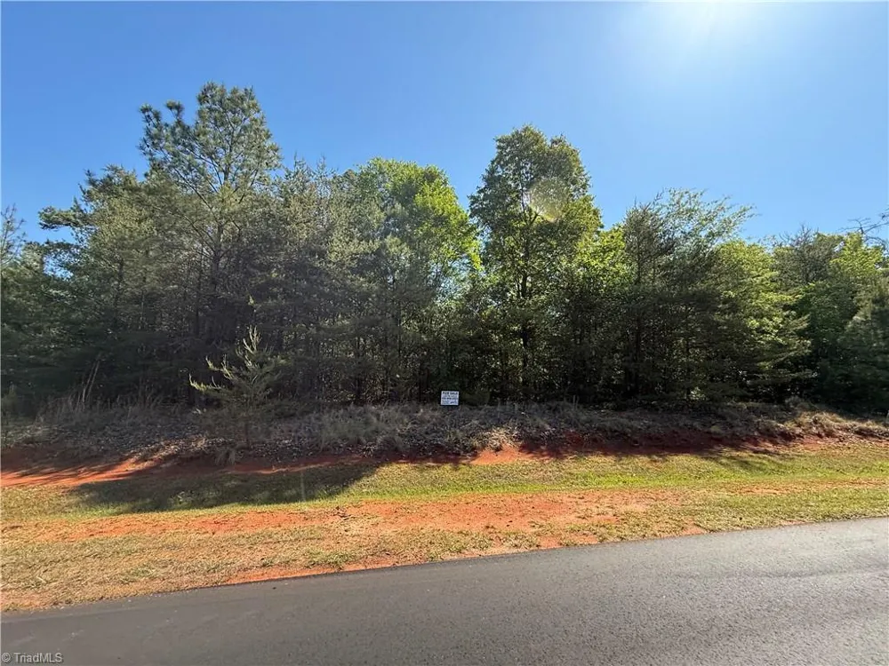 176 Lake View Pass Rockingham, NC 28379