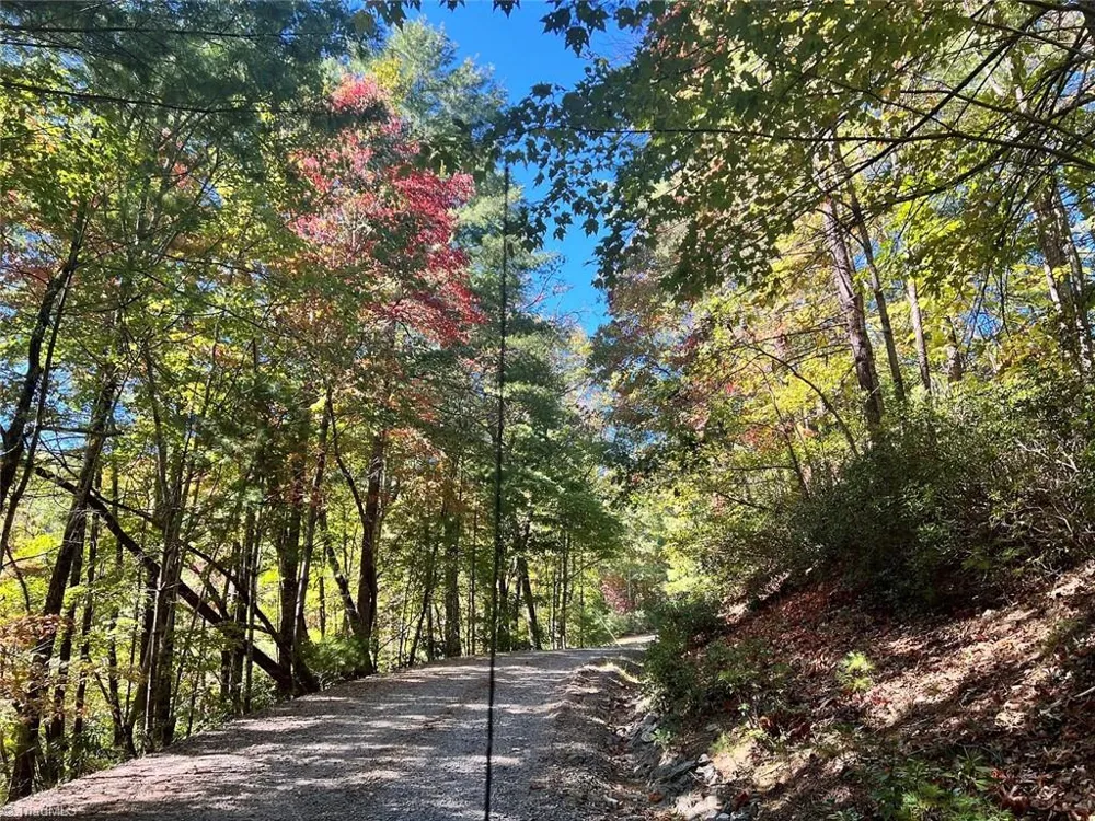 8 Laurel Road Purlear, NC 28665