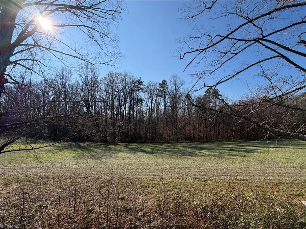 00 Conrad Road Lewisville, NC 27023