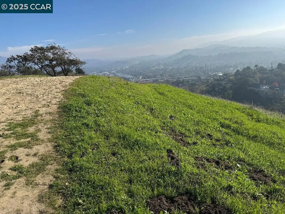 43 Cuesta way Walnut Creek, CA 94597