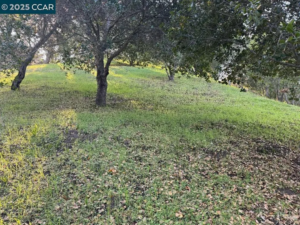 43 Cuesta way Walnut Creek, CA 94597