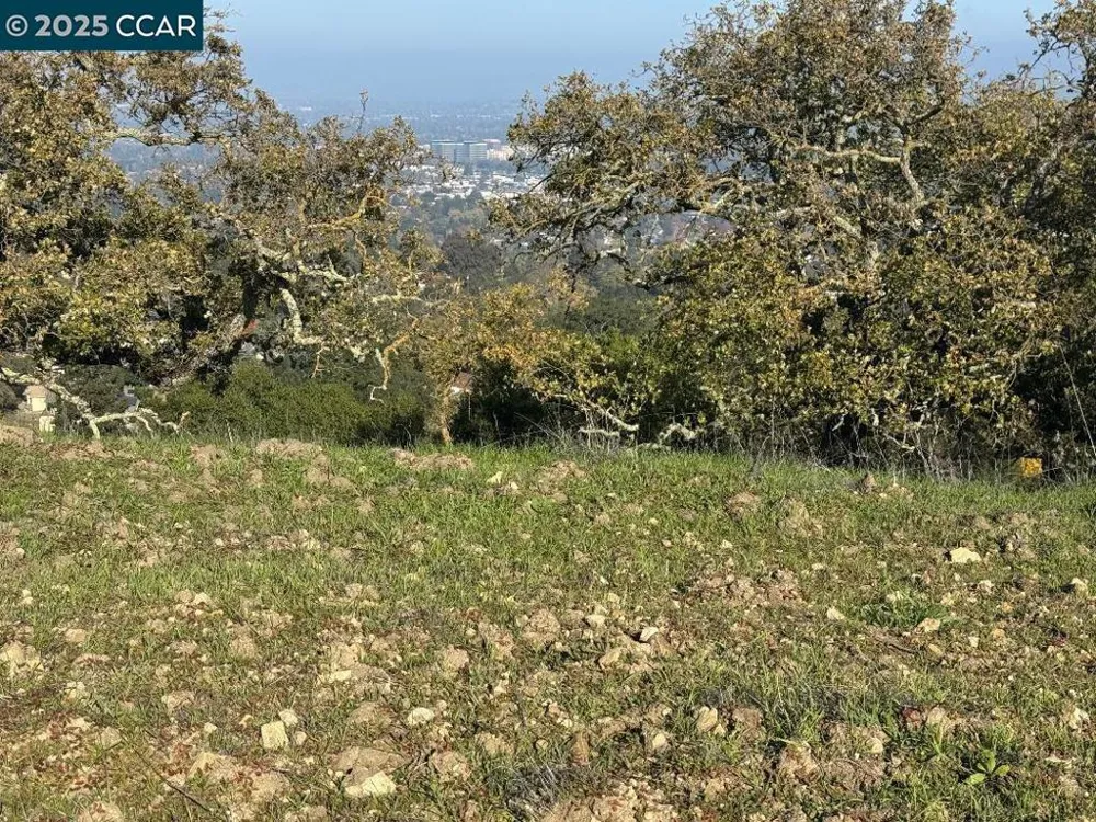 43 Cuesta way Walnut Creek, CA 94597