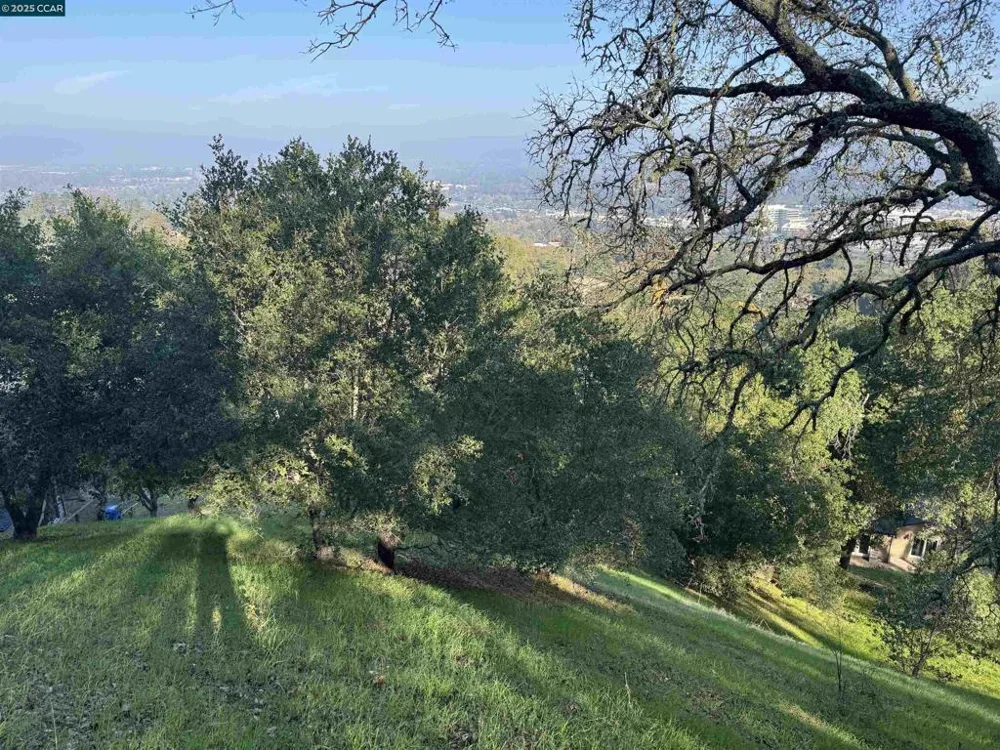 43 Cuesta way Walnut Creek, CA 94597