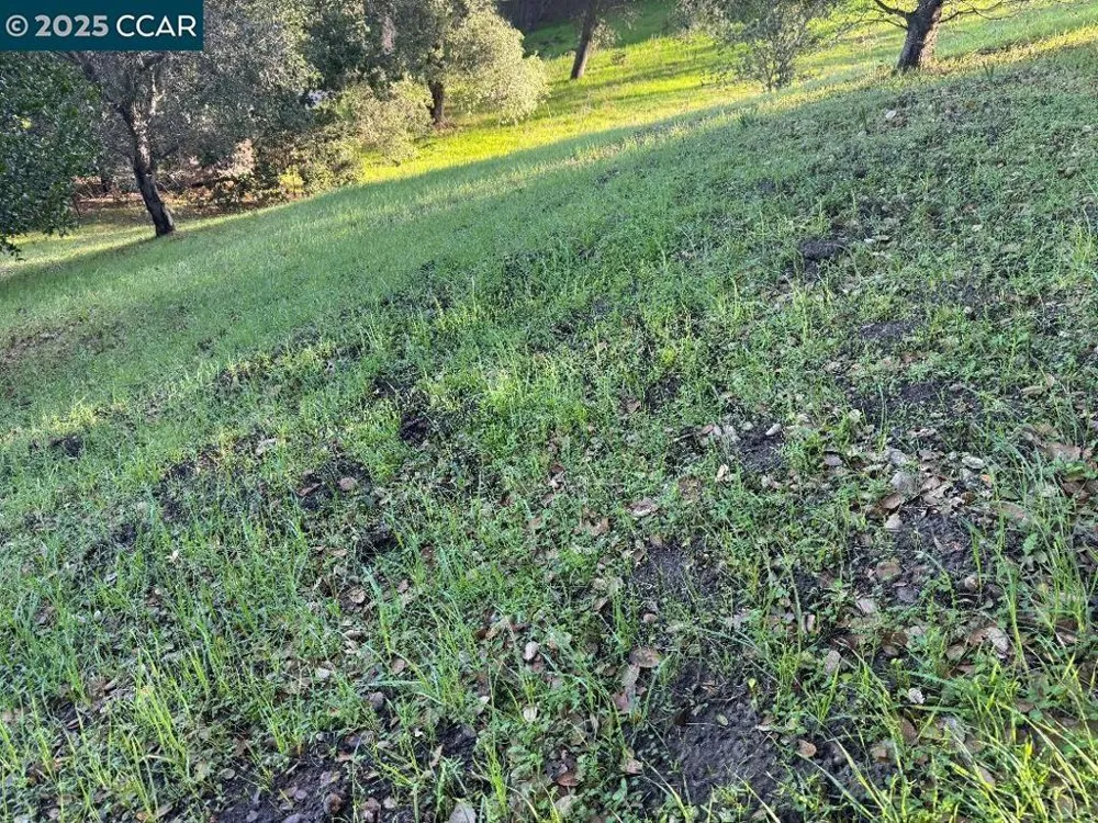 43 Cuesta way Walnut Creek, CA 94597