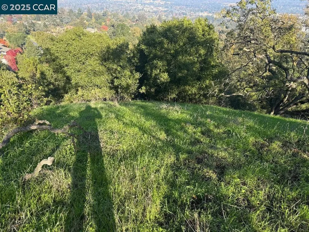 43 Cuesta way Walnut Creek, CA 94597
