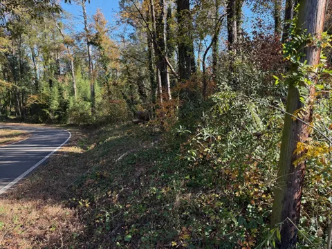 Apache Road