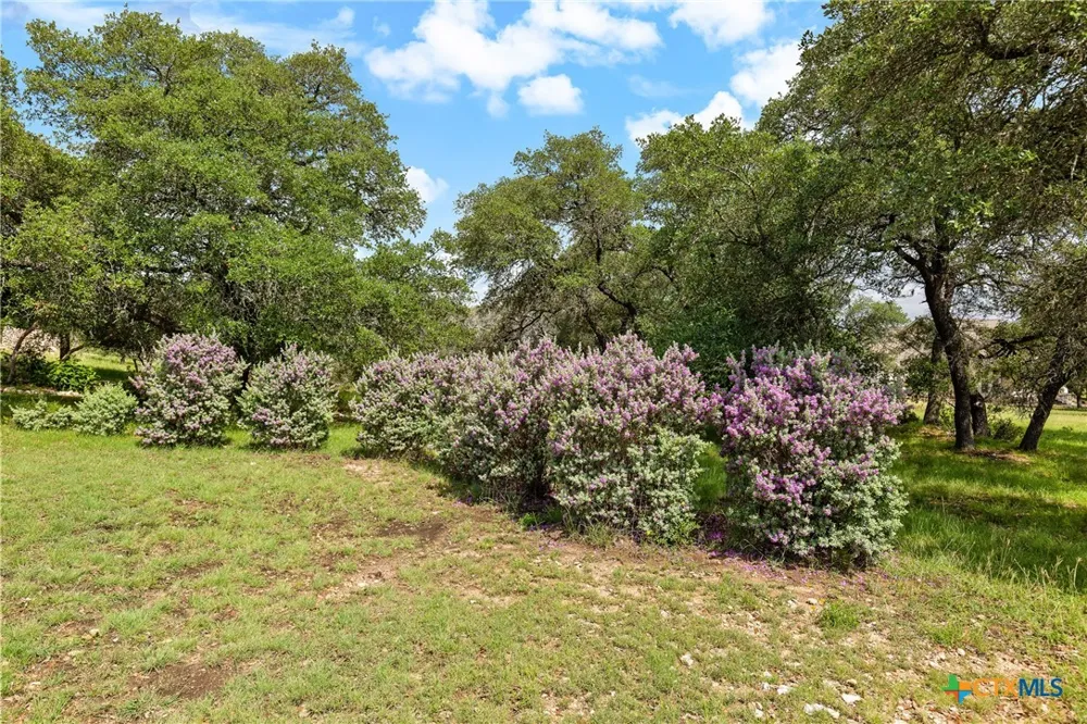 204 Kendall Jackson Comfort, TX 78013