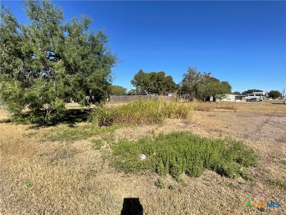 310 Stockdale Street Cuero, TX 77954